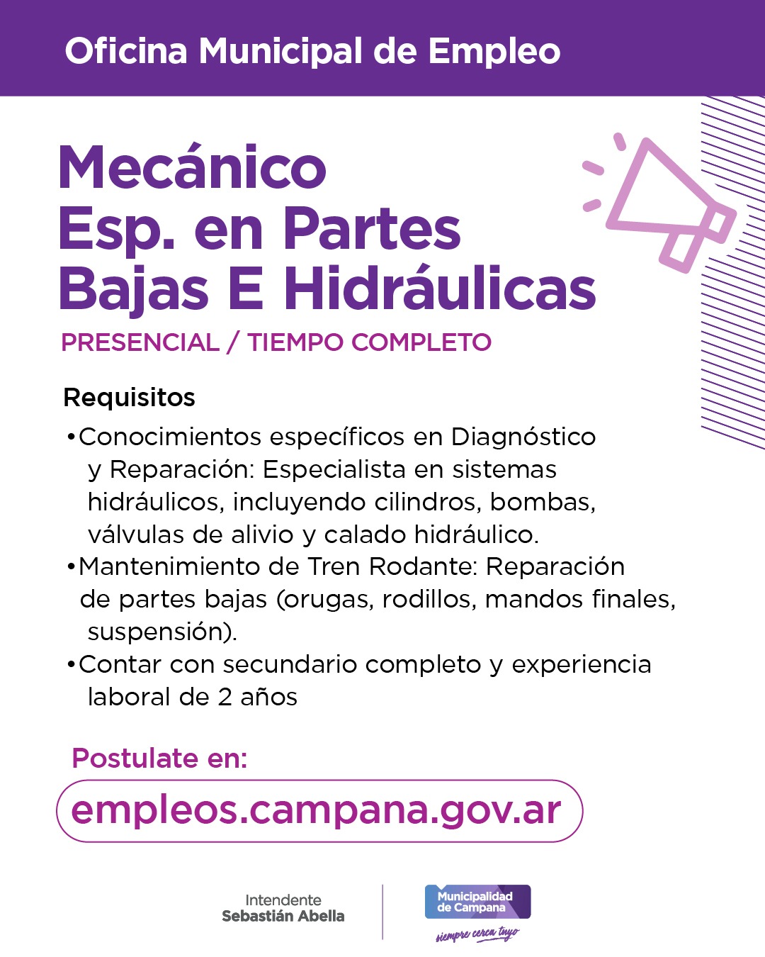 MECÁNICO ESPECIALIZADO EN PARTES BAJAS E HIDRÁULICAS
