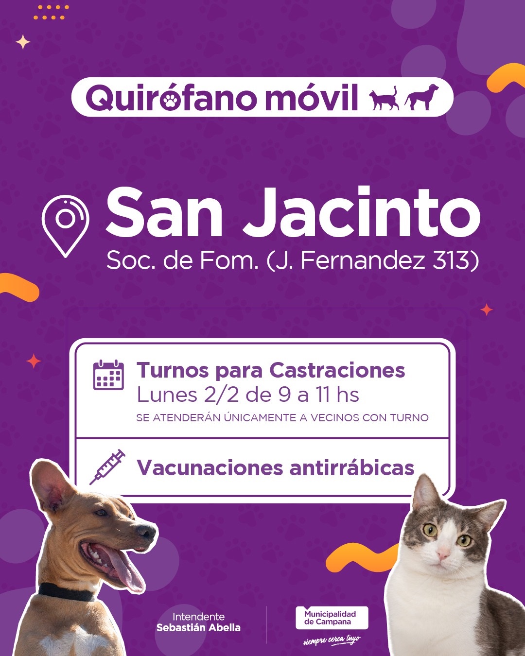 Turnos para castraciones en San Jacinto: el lunes inicia la entrega en la sociedad de fomento