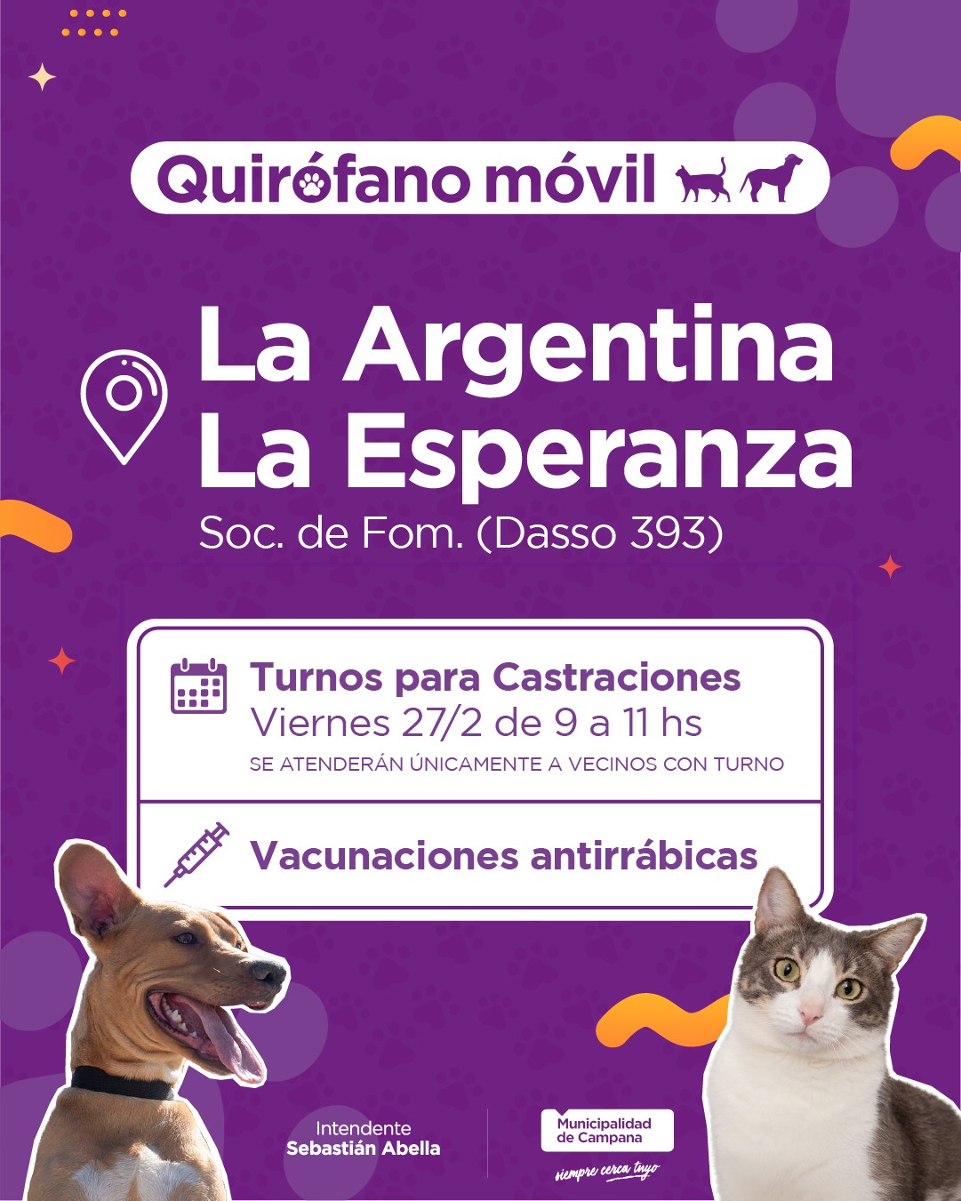 Mascotas: abren turnos para castraciones gratuitas en La Argentina y La Esperanza