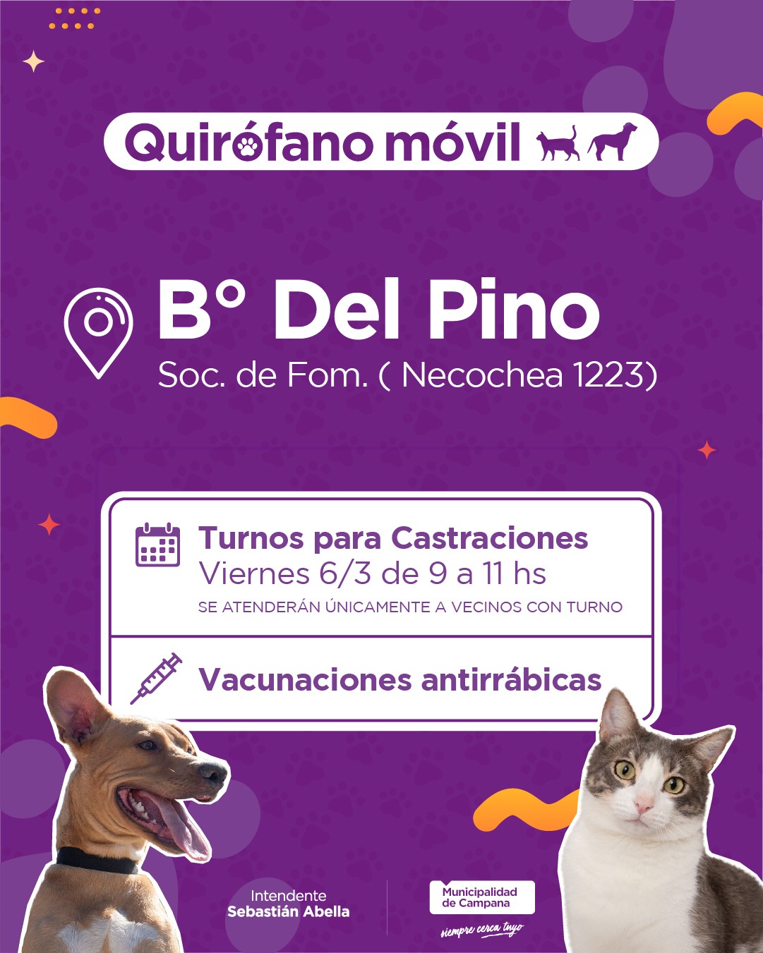 Castración gratuita en el barrio Del Pino: cómo obtener un turno este viernes 6 de marzo