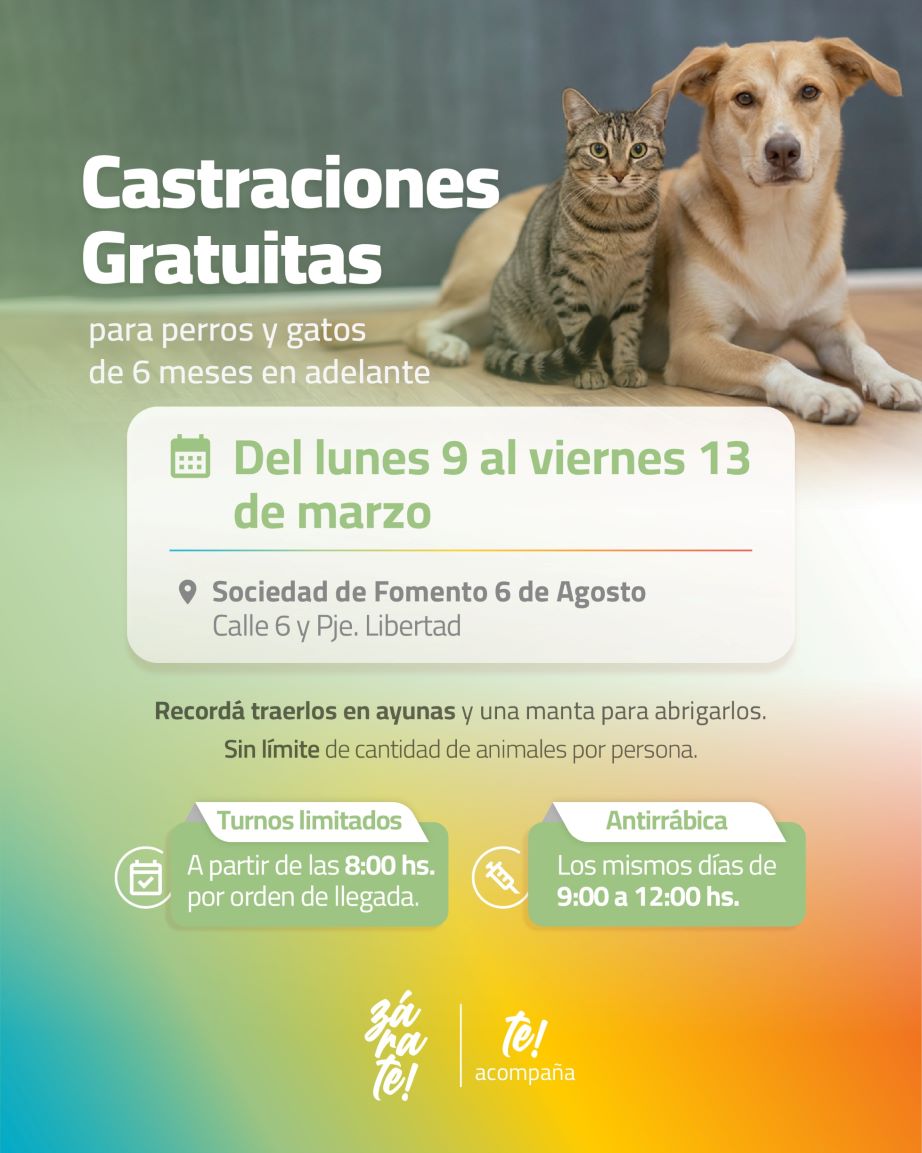 Cuidá a tu mascota: castraciones gratuitas en Zárate, horarios y requisitos para el operativo en el barrio 6 de Agosto